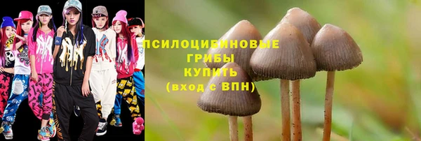 дурь Горно-Алтайск