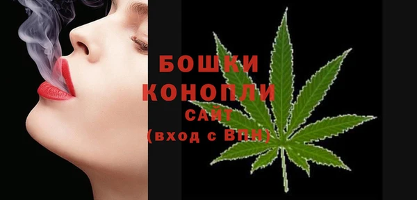 дурь Горно-Алтайск