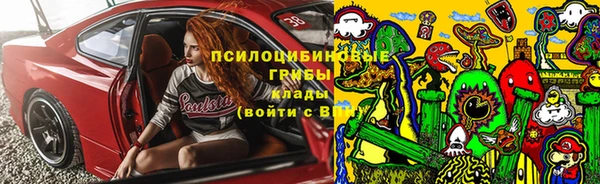 дурь Горно-Алтайск